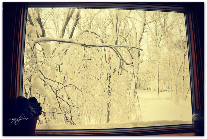 The snow-shrouded branch pointing at my kitchen window was actually touching the glass.  Made me think of a blink angel getting closer and closer. . . .